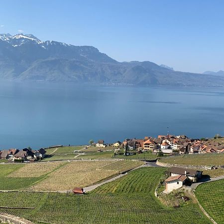 Appartamento La Gremillette Gourmande Lavaux Rivaz Esterno foto