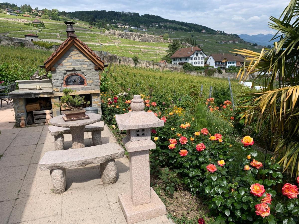 Appartamento La Gremillette Gourmande Lavaux Rivaz Esterno foto