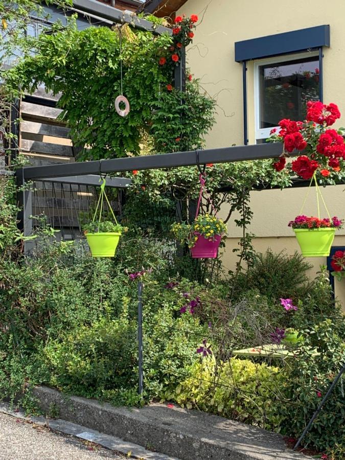 Appartamento La Gremillette Gourmande Lavaux Rivaz Esterno foto