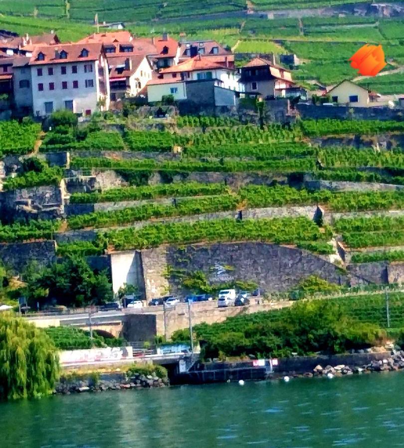 Appartamento La Gremillette Gourmande Lavaux Rivaz Esterno foto