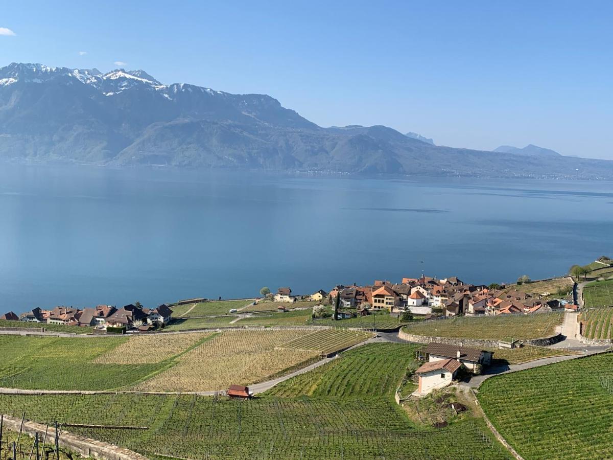 Appartamento La Gremillette Gourmande Lavaux Rivaz Esterno foto