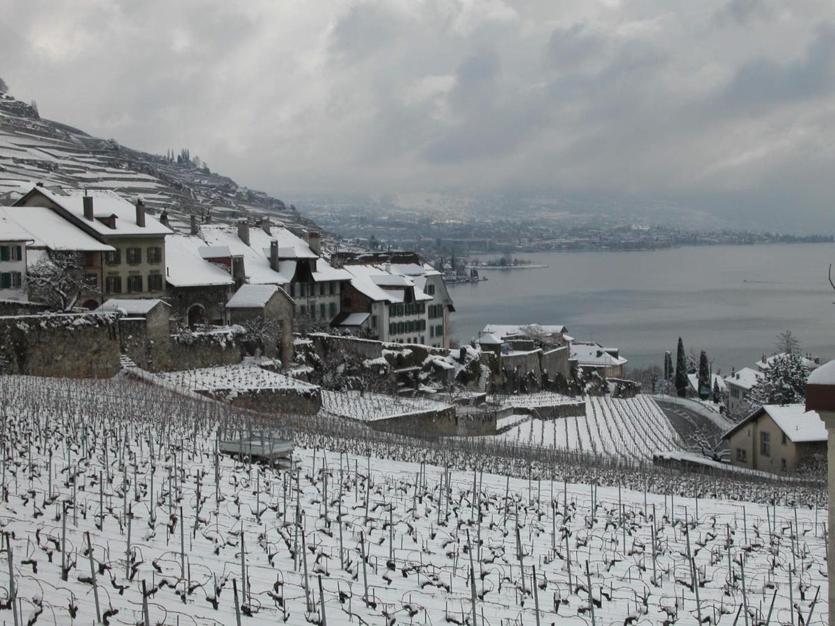 Appartamento La Gremillette Gourmande Lavaux Rivaz Esterno foto
