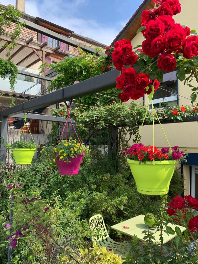 Appartamento La Gremillette Gourmande Lavaux Rivaz Esterno foto